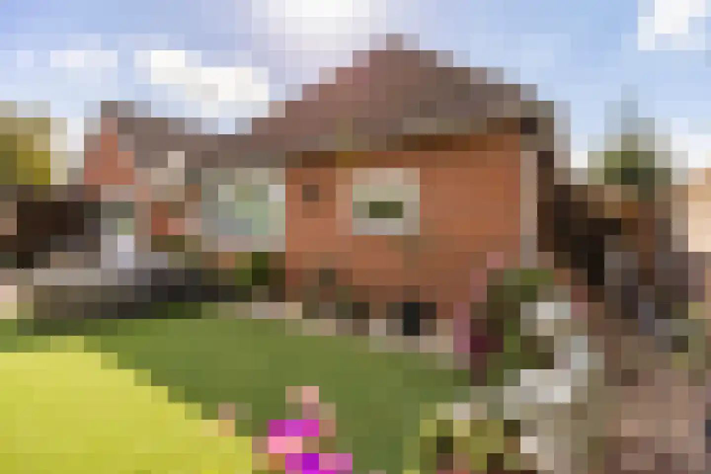 Pastoor van Leijsenstraat 14 Schijf thumbnail 51