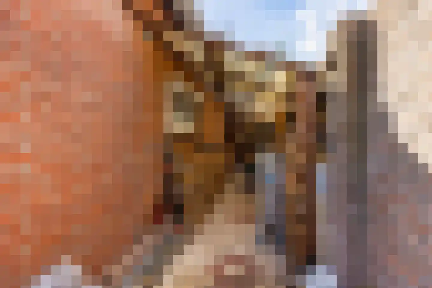 Pastoor van Leijsenstraat 14 Schijf thumbnail 52