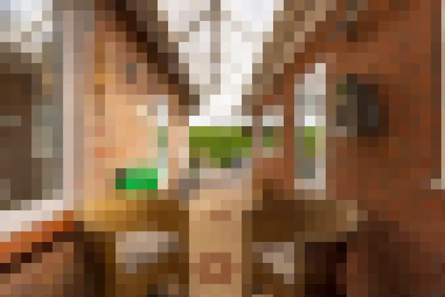 Pastoor van Leijsenstraat 14 Schijf thumbnail 55