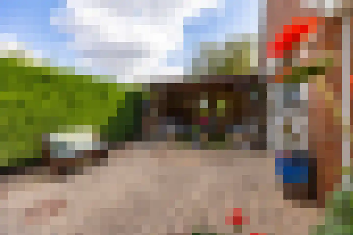 Pastoor van Leijsenstraat 14 Schijf thumbnail 57