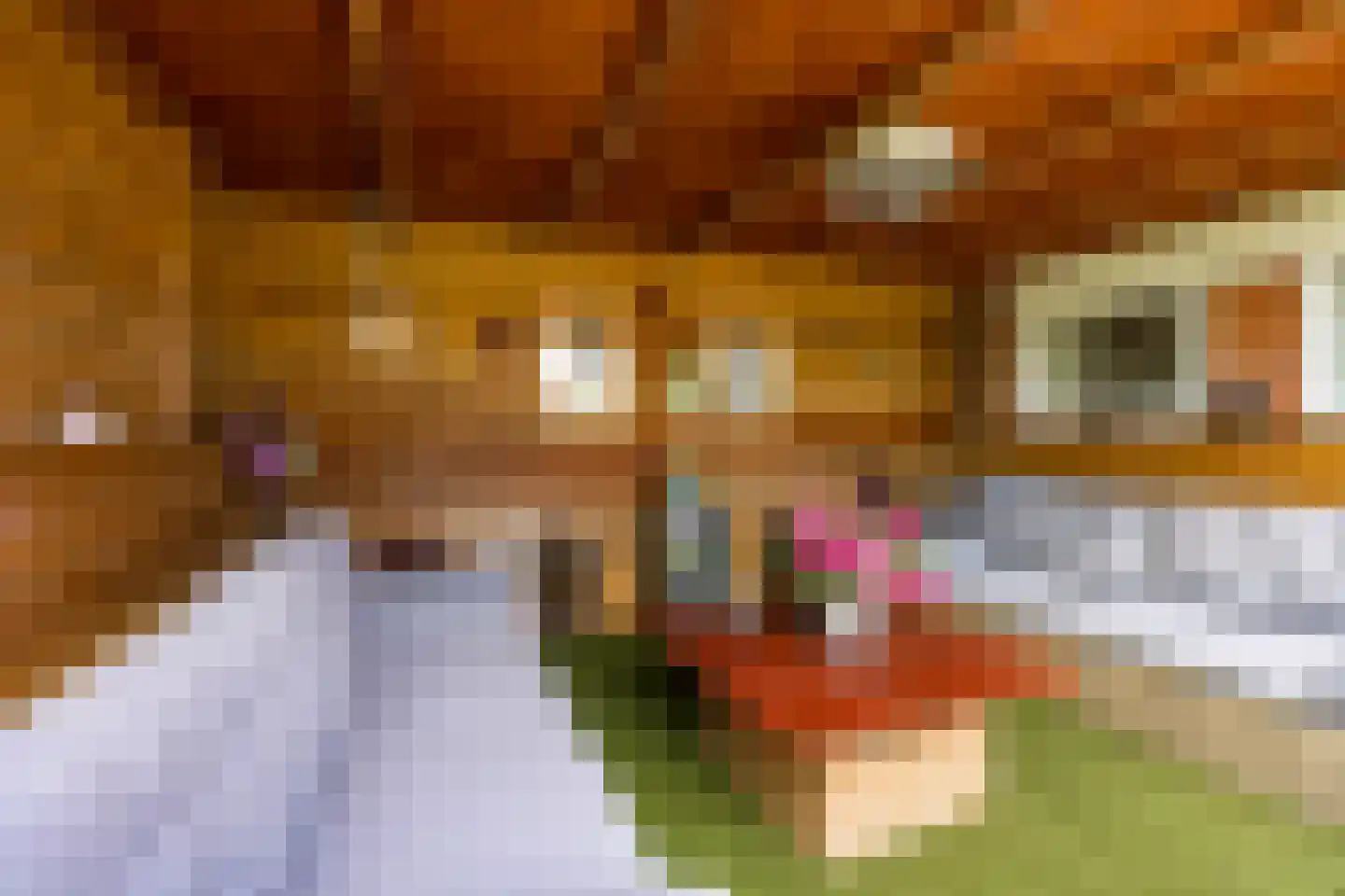 Pastoor van Leijsenstraat 14 Schijf thumbnail 59