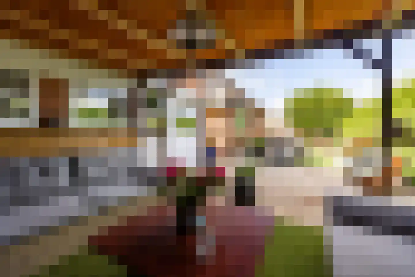 Pastoor van Leijsenstraat 14 Schijf thumbnail 6