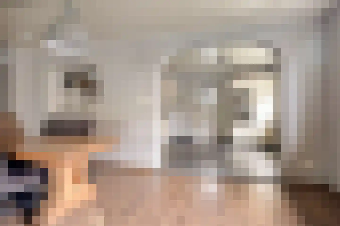 Pastoor van Leijsenstraat 7 Schijf thumbnail 10