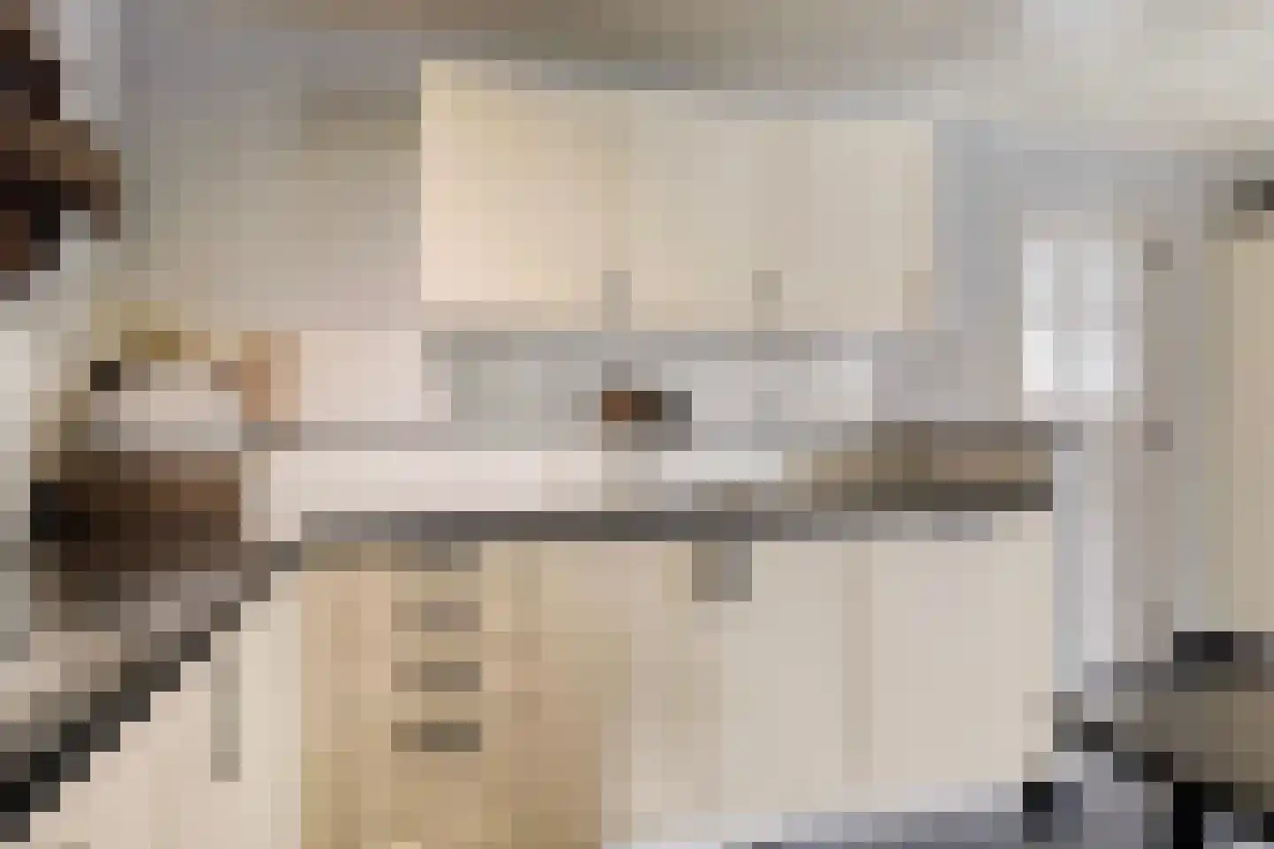 Pastoor van Leijsenstraat 7 Schijf thumbnail 12