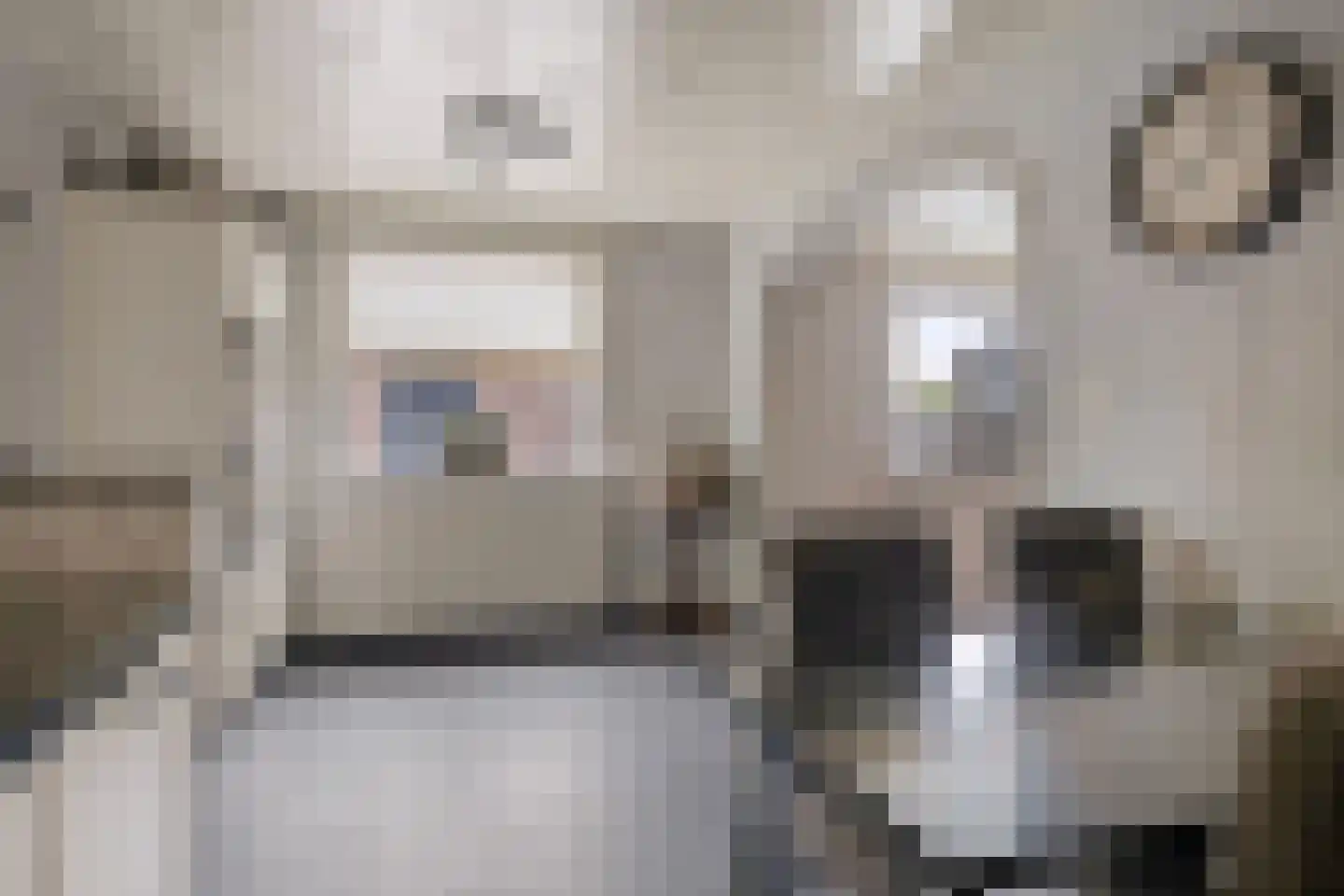 Pastoor van Leijsenstraat 7 Schijf thumbnail 14