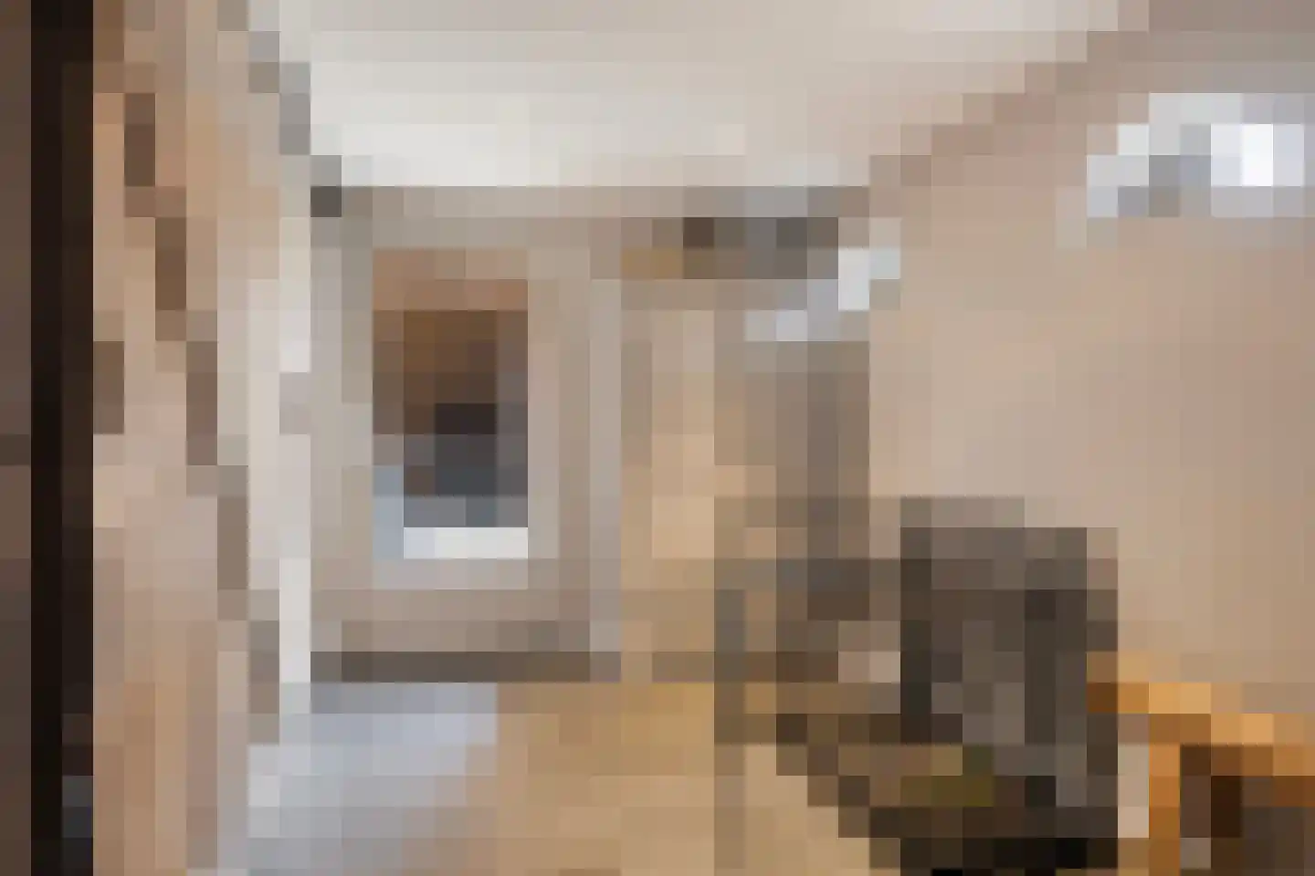 Pastoor van Leijsenstraat 7 Schijf thumbnail 16