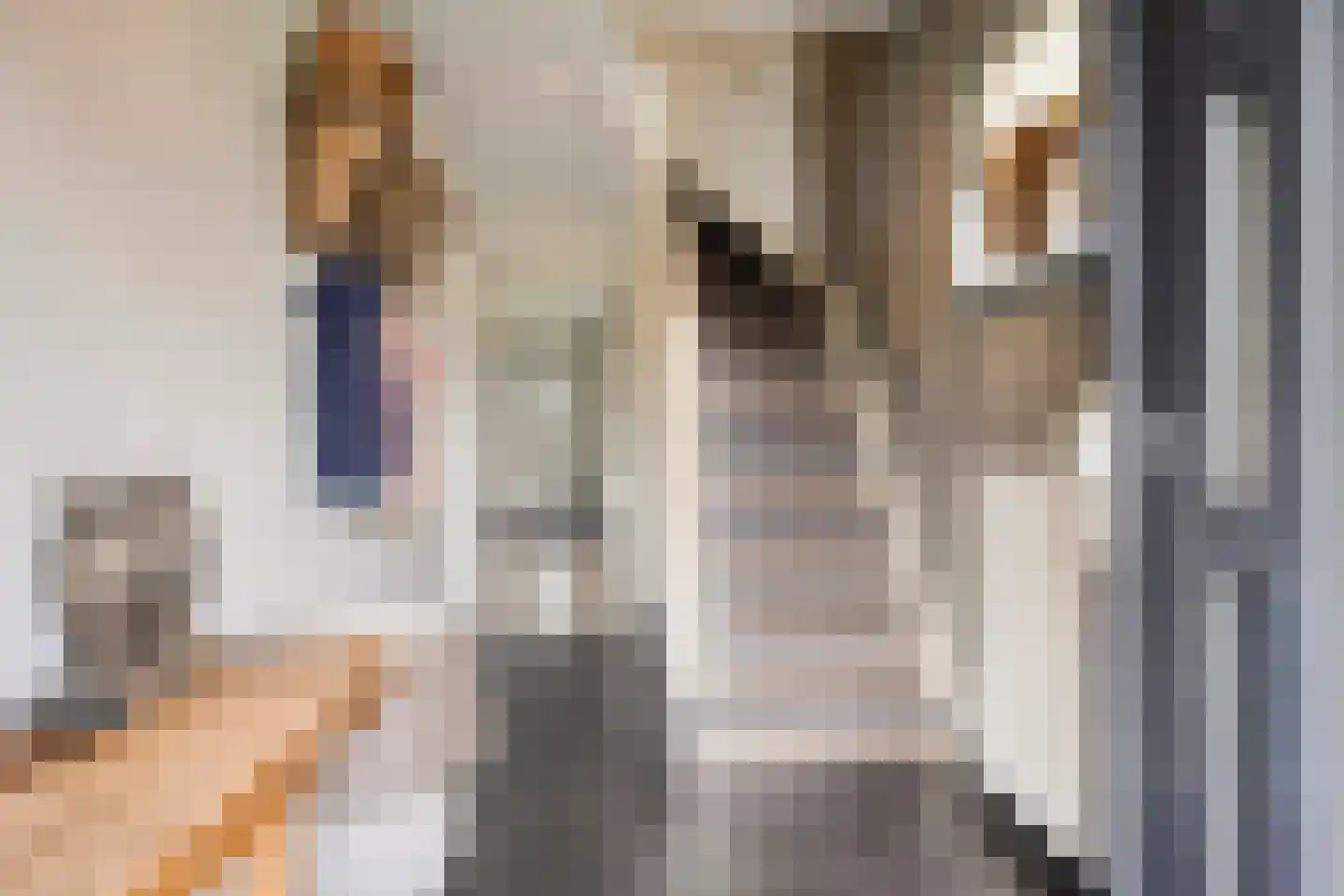 Pastoor van Leijsenstraat 7 Schijf thumbnail 18