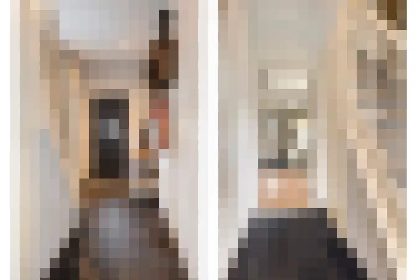 Pastoor van Leijsenstraat 7 Schijf thumbnail 19