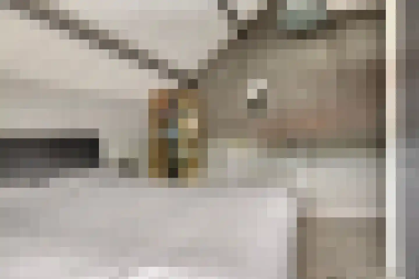 Pastoor van Leijsenstraat 7 Schijf thumbnail 22