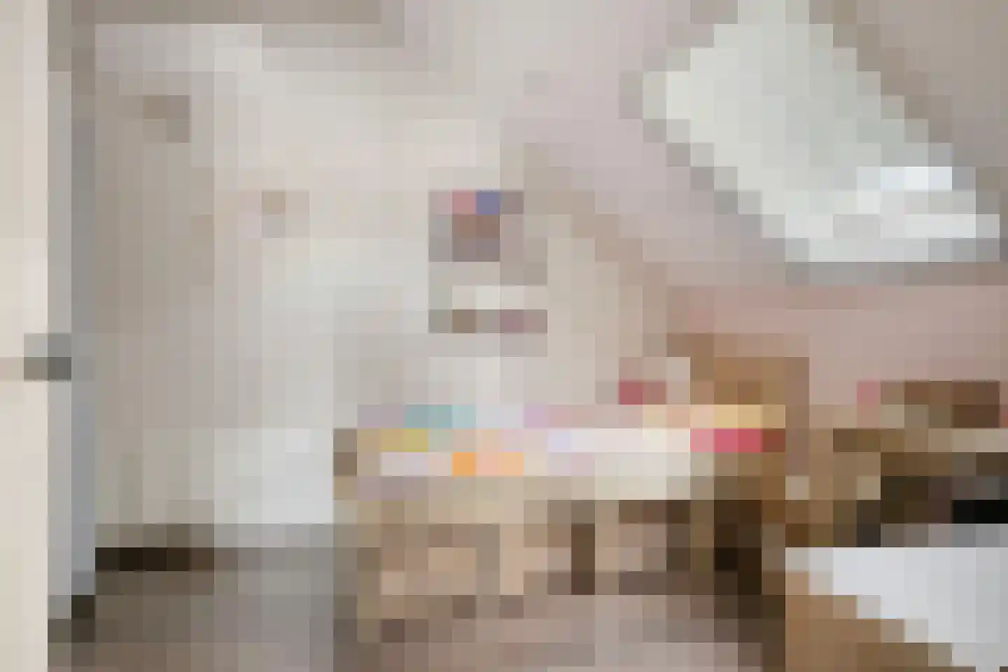 Pastoor van Leijsenstraat 7 Schijf thumbnail 23