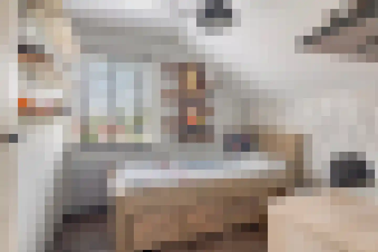 Pastoor van Leijsenstraat 7 Schijf thumbnail 26