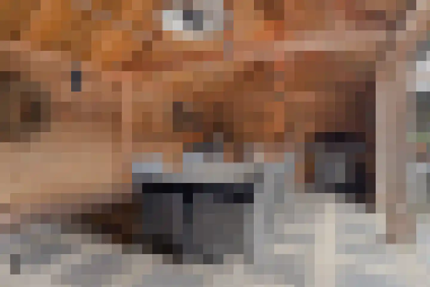 Pastoor van Leijsenstraat 7 Schijf thumbnail 37