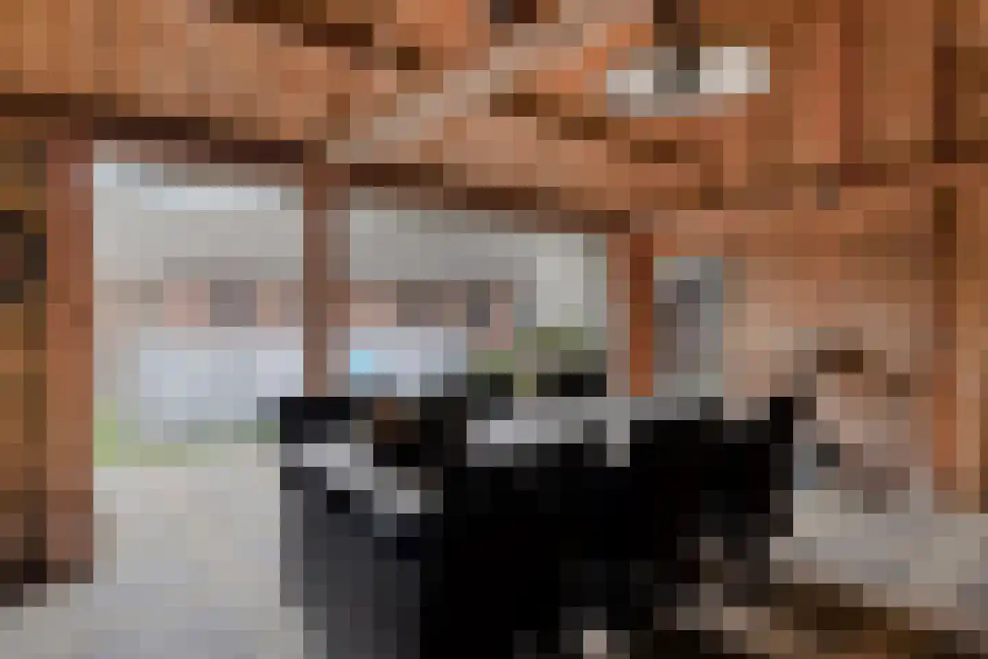 Pastoor van Leijsenstraat 7 Schijf thumbnail 38