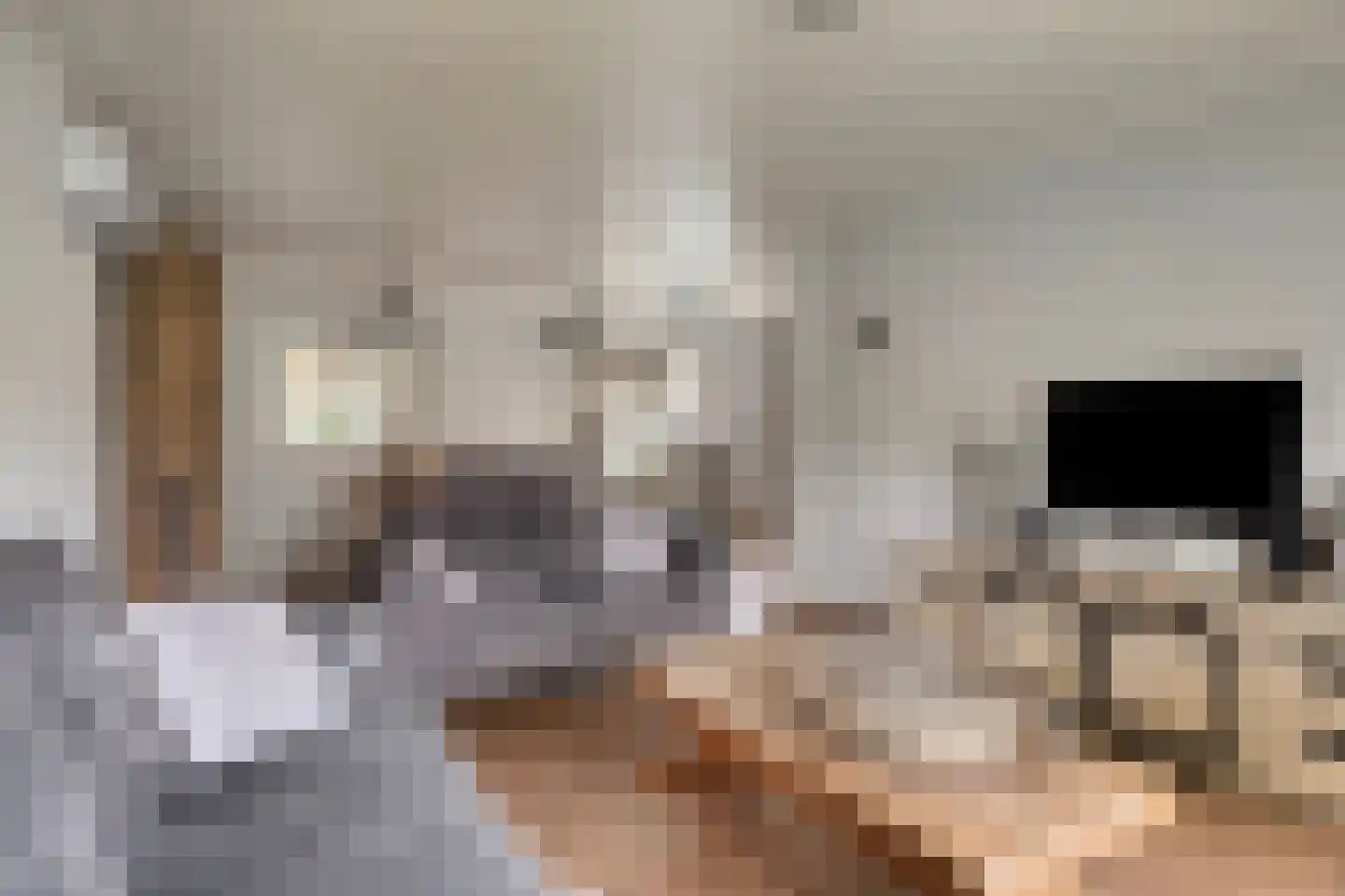 Pastoor van Leijsenstraat 7 Schijf thumbnail 6