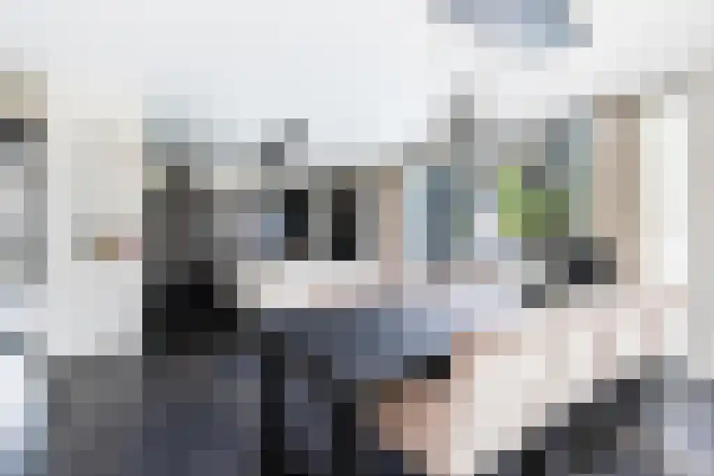 Pastoor van Loonstraat 20 Velddriel thumbnail 11