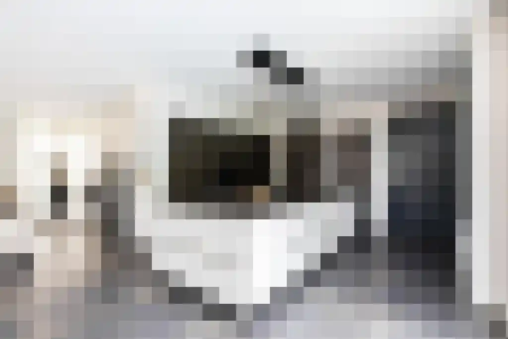 Pastoor van Loonstraat 20 Velddriel thumbnail 13