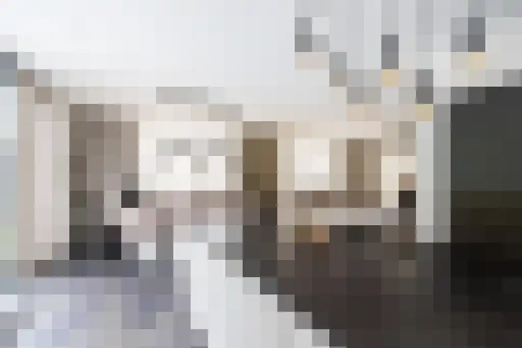 Pastoor van Loonstraat 20 Velddriel thumbnail 14