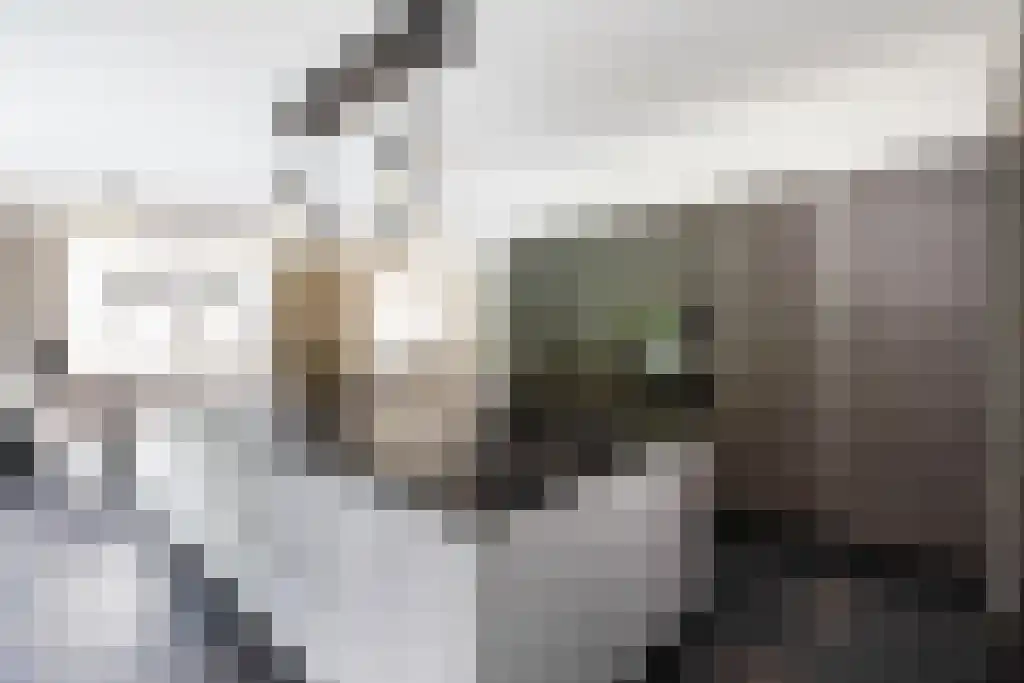 Pastoor van Loonstraat 20 Velddriel thumbnail 15