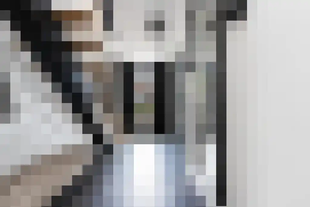 Pastoor van Loonstraat 20 Velddriel thumbnail 22