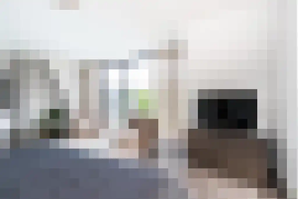 Pastoor van Loonstraat 20 Velddriel thumbnail 27