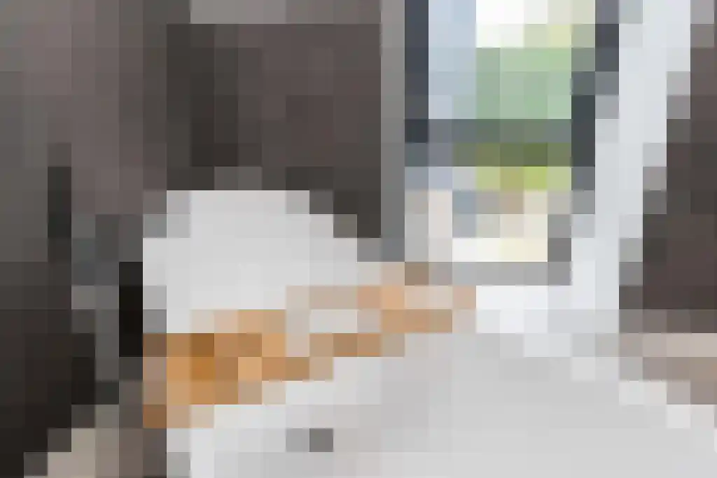 Pastoor van Loonstraat 20 Velddriel thumbnail 37