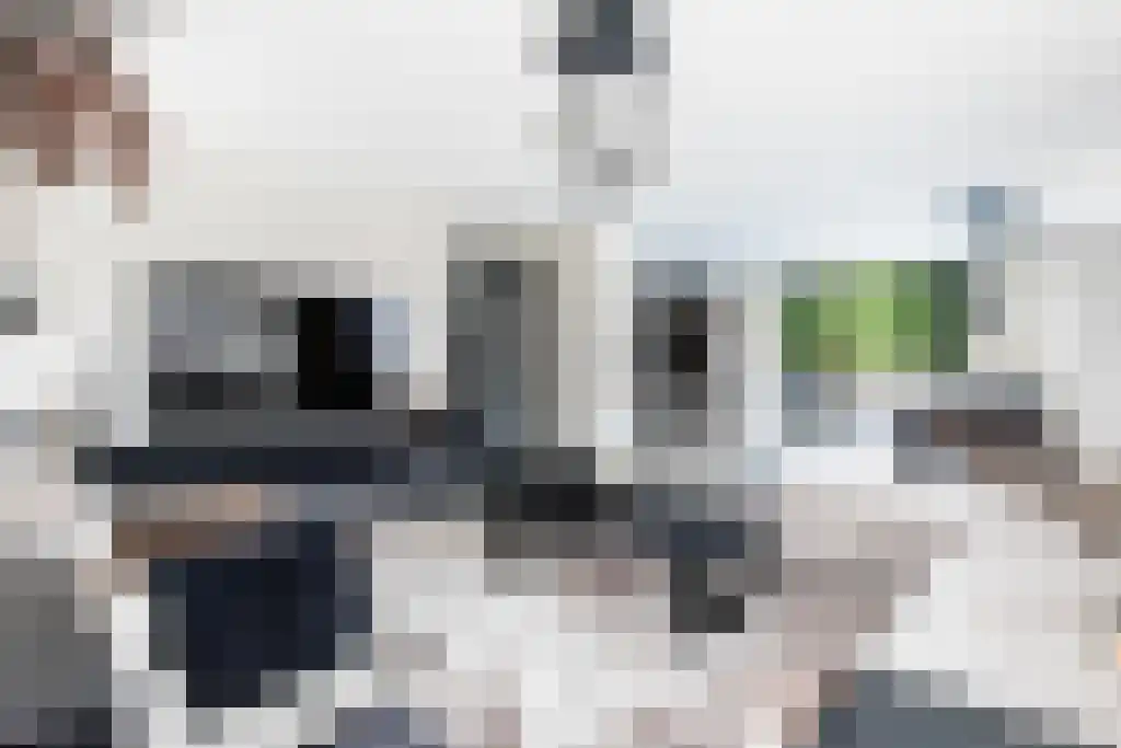 Pastoor van Loonstraat 20 Velddriel thumbnail 4