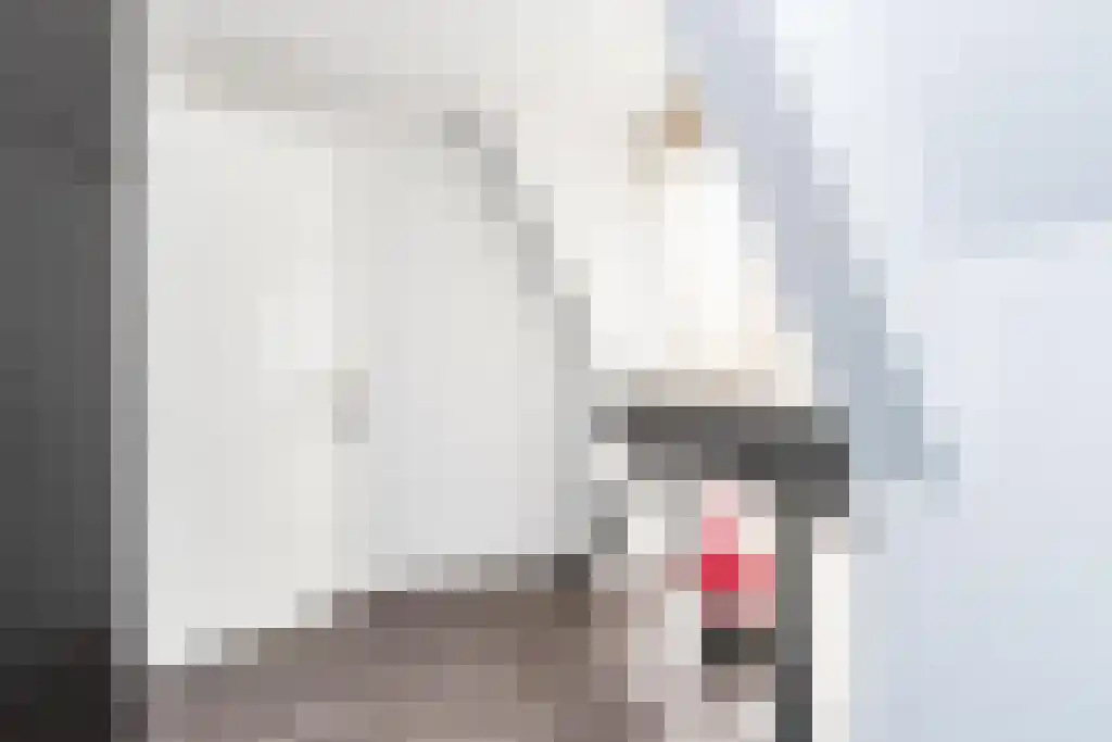 Pastoor van Loonstraat 20 Velddriel thumbnail 45
