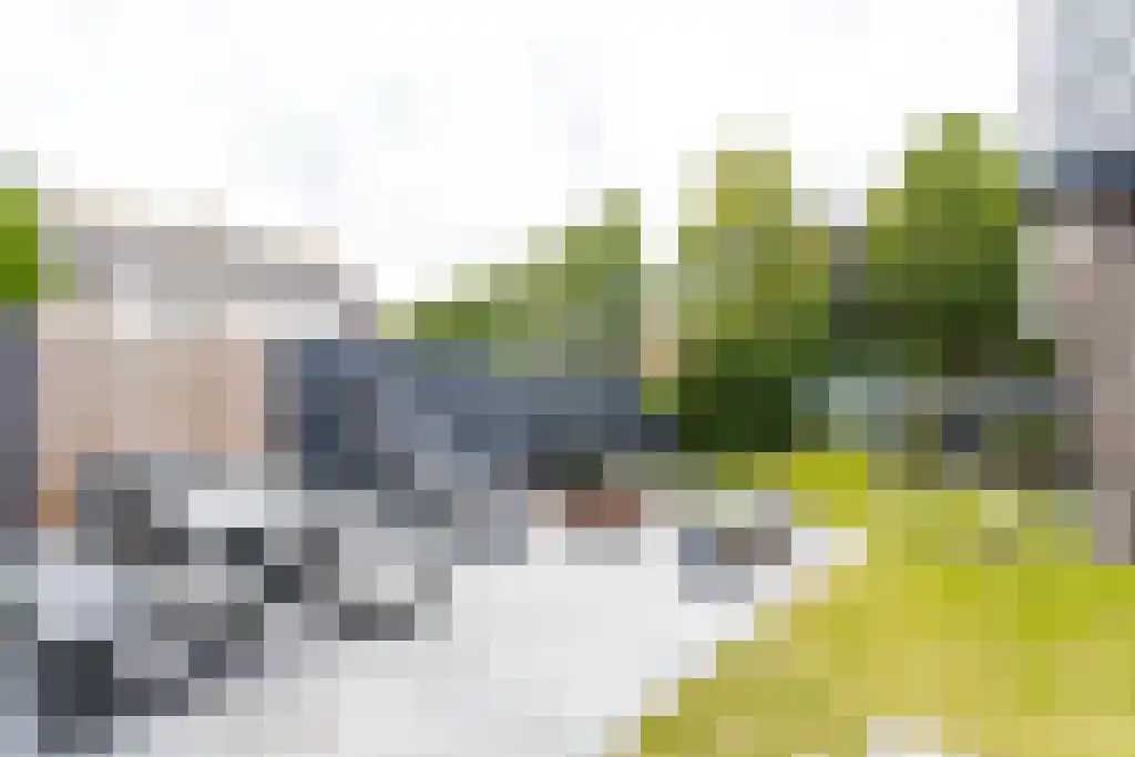 Pastoor van Loonstraat 20 Velddriel thumbnail 58
