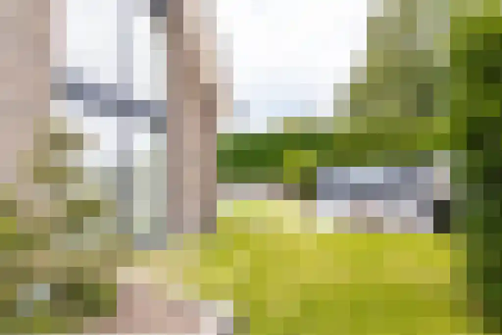 Pastoor van Loonstraat 20 Velddriel thumbnail 59