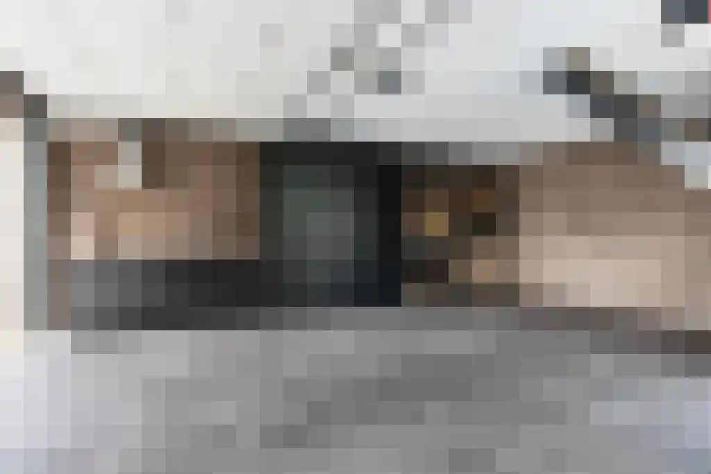 Pastoor van Loonstraat 20 Velddriel thumbnail 67