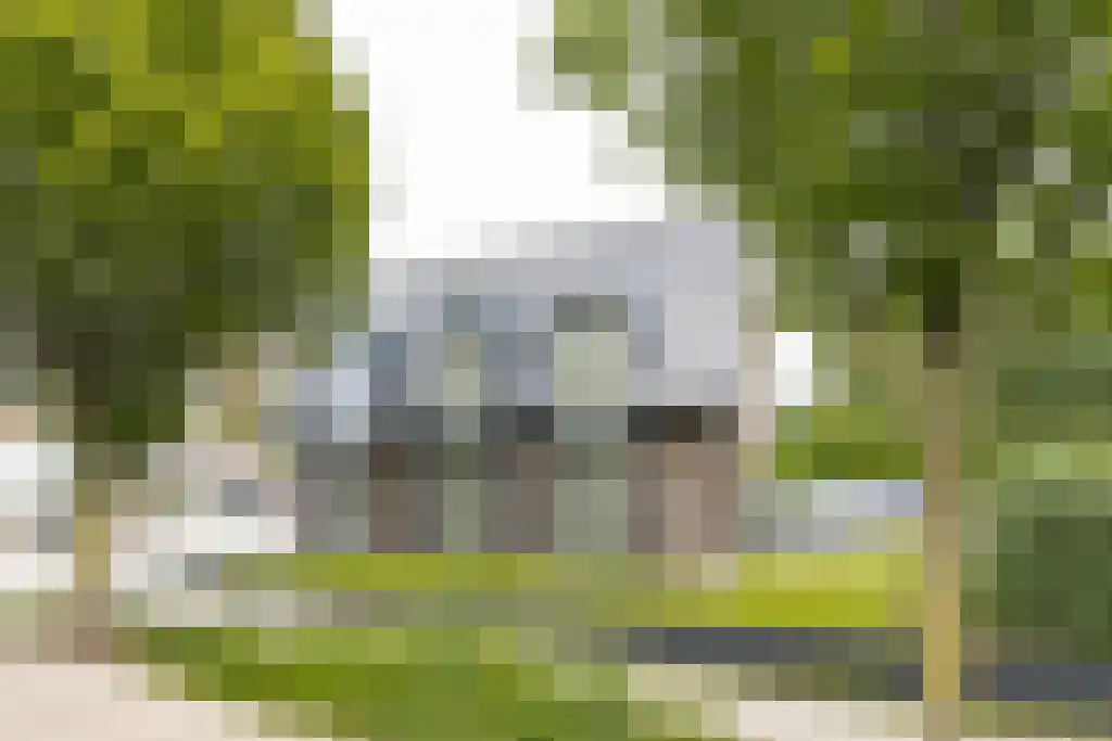 Pastoor van Loonstraat 20 Velddriel thumbnail 72