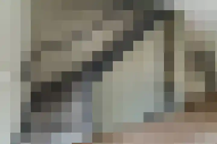 Pastoor van Moorseldreef 4 Netersel thumbnail 18