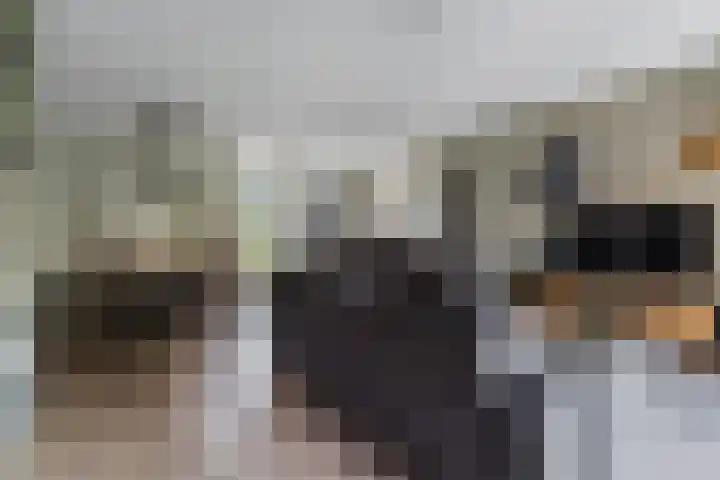 Pastoor van Moorseldreef 4 Netersel thumbnail 19