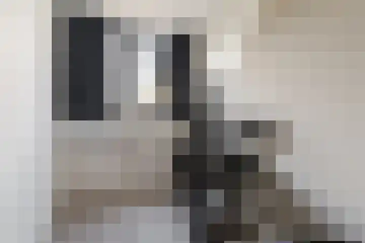 Pastoor van Moorseldreef 4 Netersel thumbnail 28