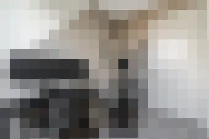 Pastoor van Moorseldreef 4 Netersel thumbnail 29
