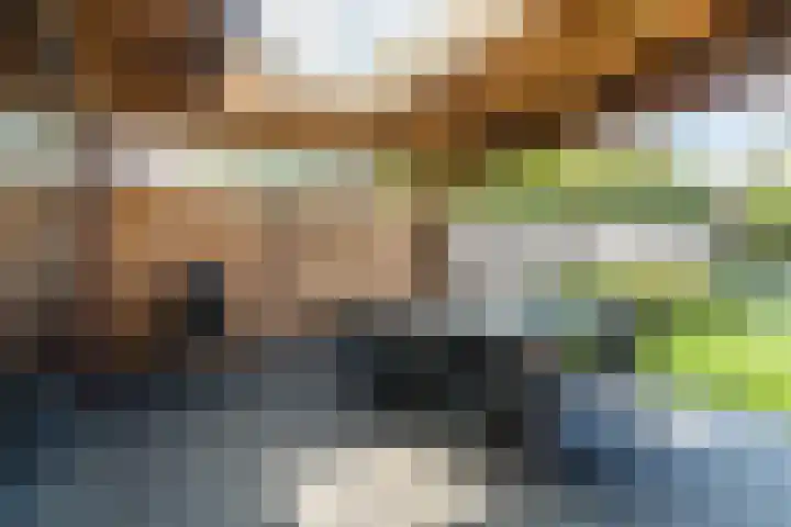 Pastoor van Moorseldreef 4 Netersel thumbnail 34