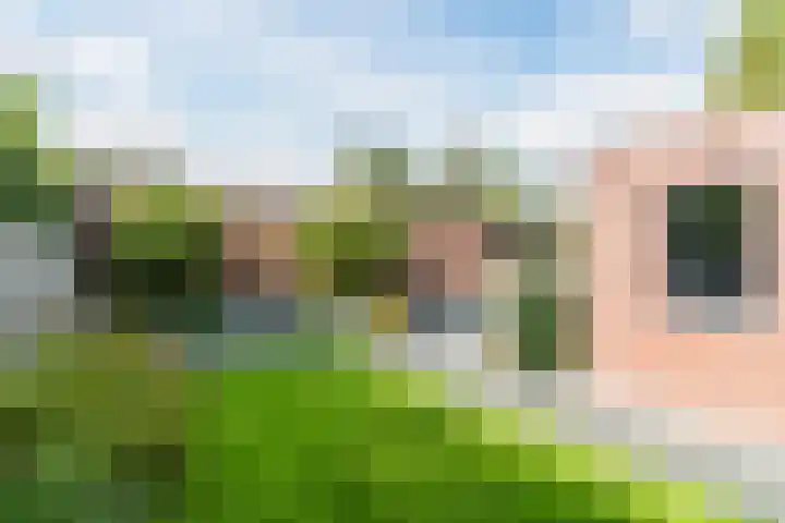 Pastoor van Moorseldreef 4 Netersel thumbnail 37