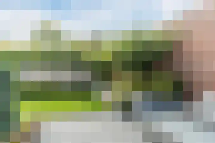 Pastoor van Moorseldreef 4 Netersel thumbnail 40