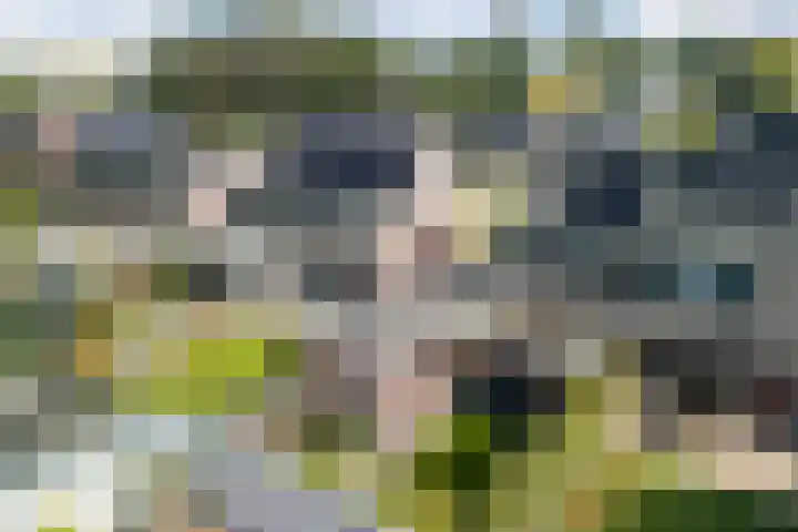 Pastoor van Moorseldreef 4 Netersel thumbnail 46