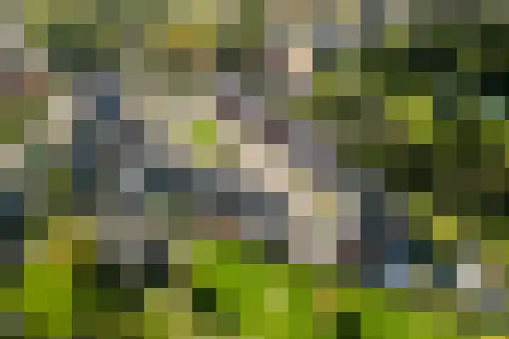Pastoor van Moorseldreef 4 Netersel thumbnail 48