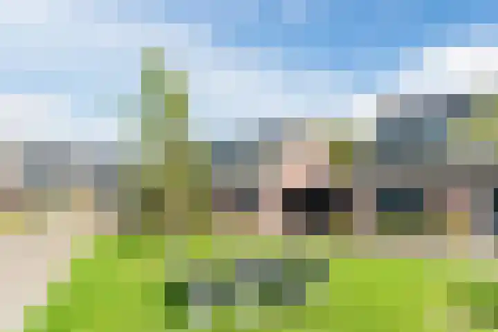 Pastoor van Moorseldreef 4 Netersel thumbnail 53