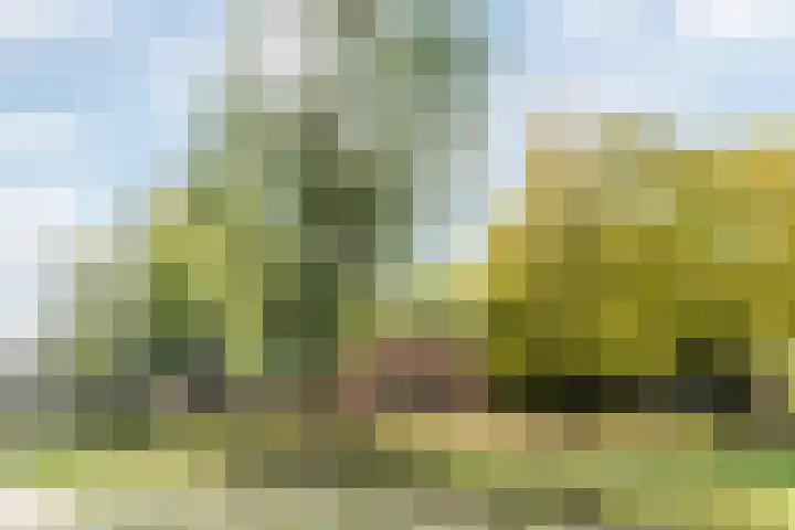 Pastoor van Moorseldreef 4 Netersel thumbnail 56