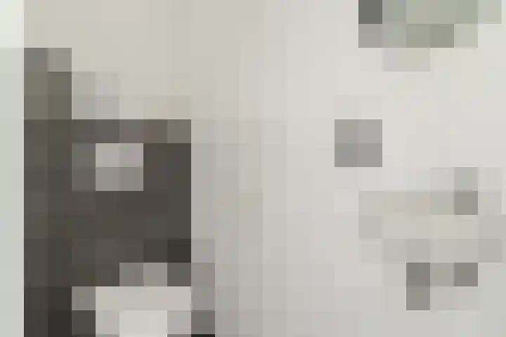 Pastoor van Moorseldreef 4 Netersel thumbnail 6