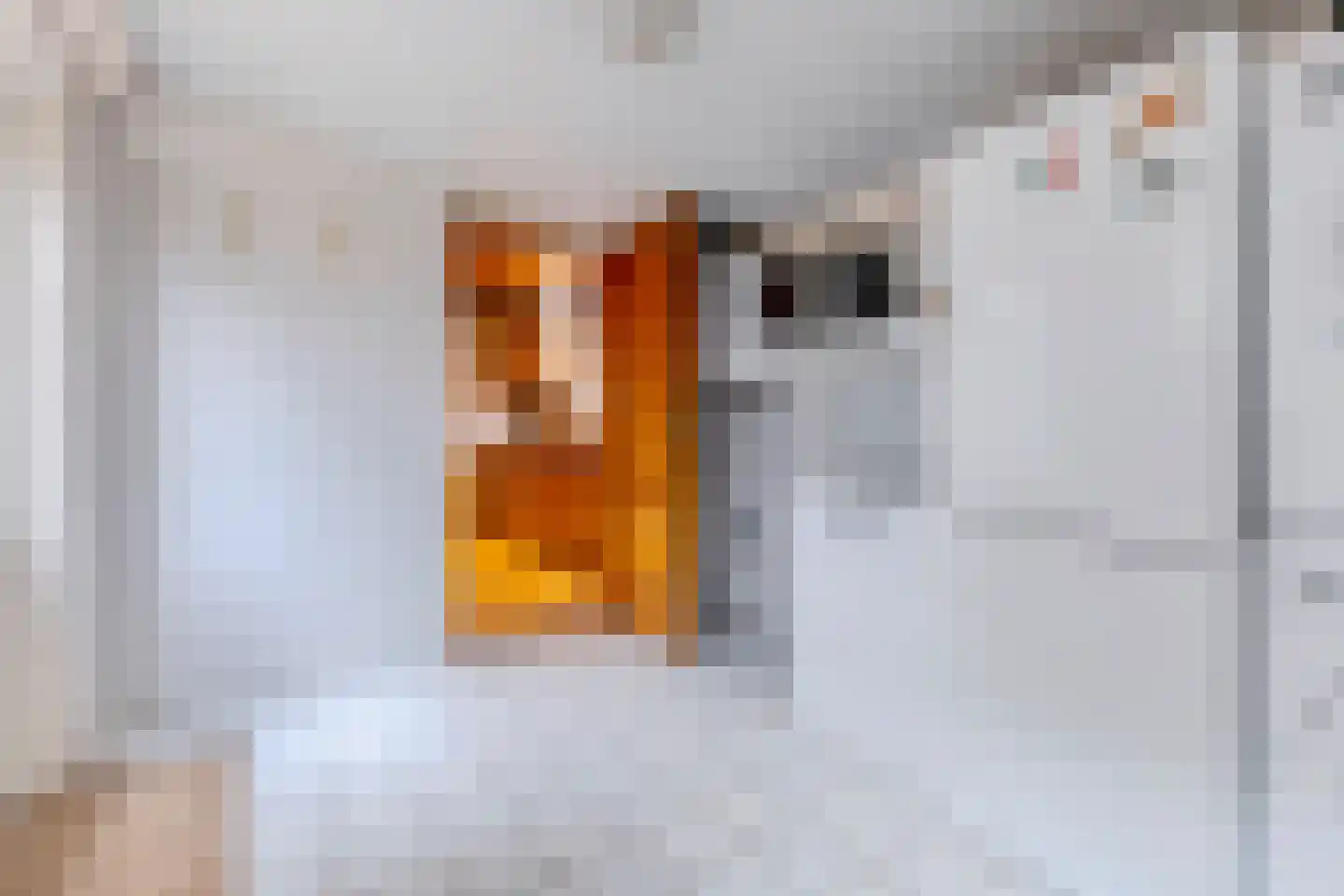 Pastoor van Muijenweg 11 Heiloo thumbnail 13