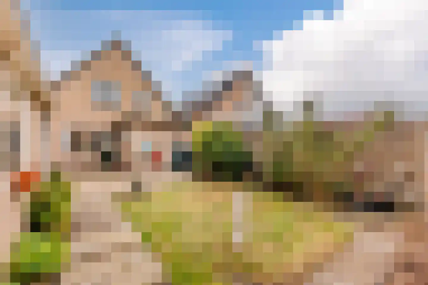 Pastoor van Muijenweg 11 Heiloo thumbnail 23