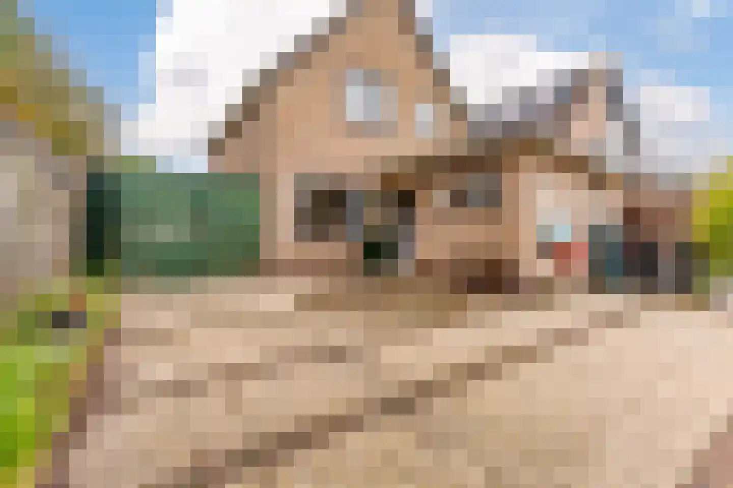 Pastoor van Muijenweg 11 Heiloo thumbnail 24