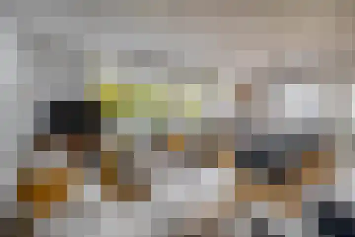 Pastoor van Nuenenstraat 14 Utrecht thumbnail 11