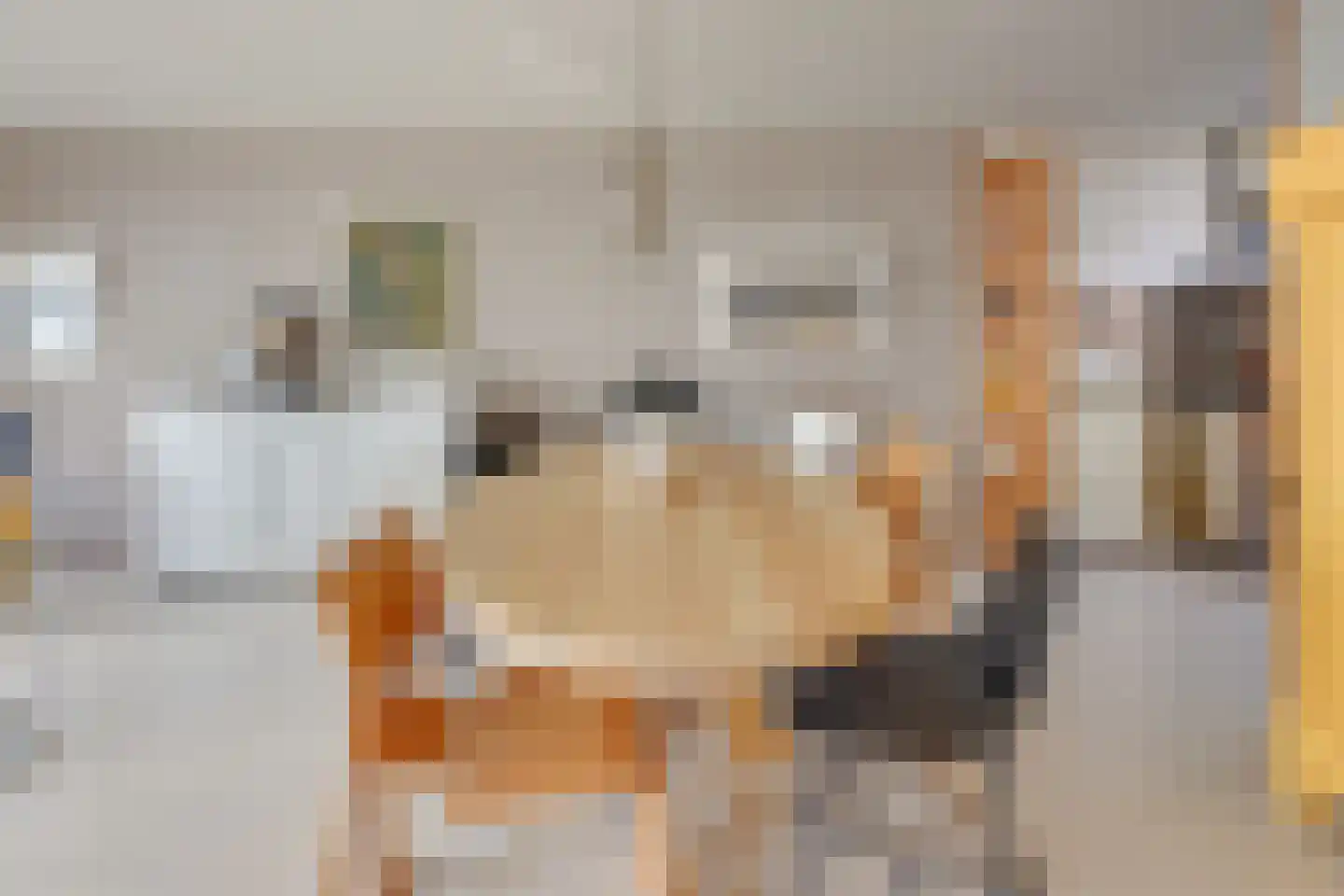 Pastoor van Nuenenstraat 18 Utrecht thumbnail 22