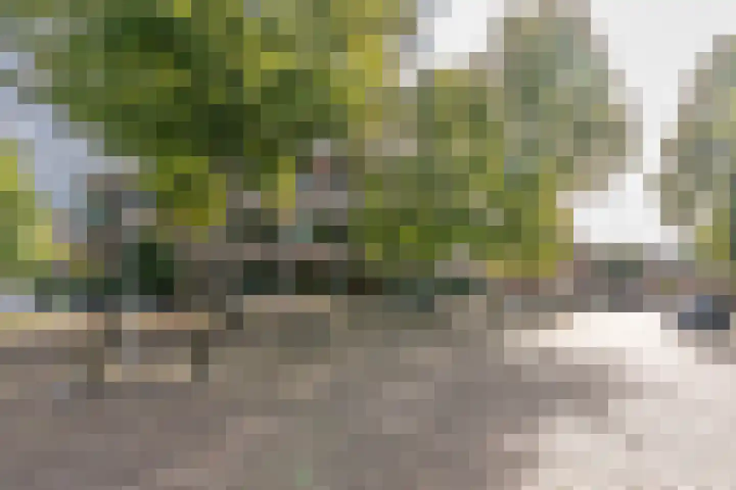 Pastoor van Nuenenstraat 18 Utrecht thumbnail 41