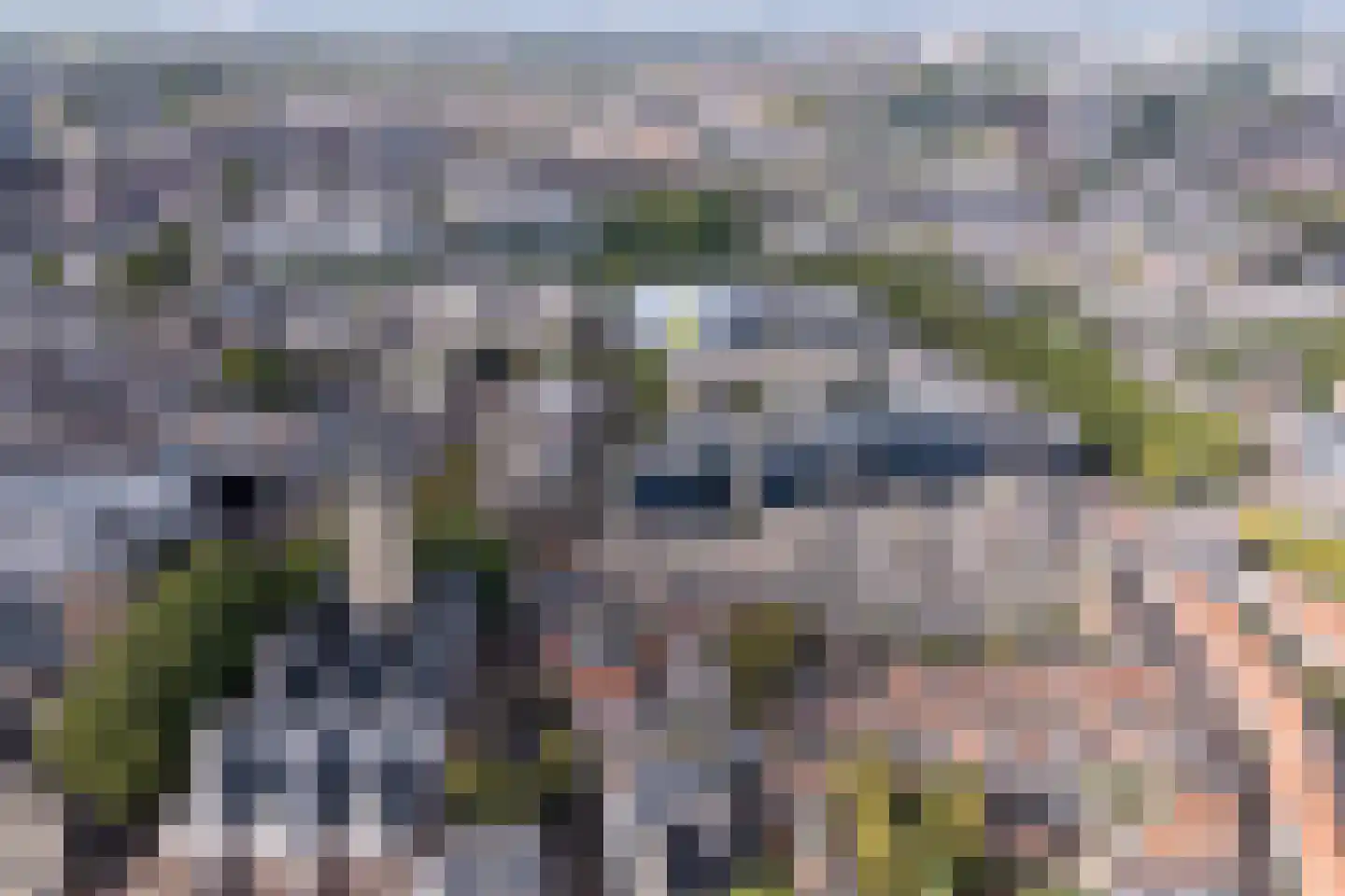 Pastoor van Nuenenstraat 18 Utrecht thumbnail 43